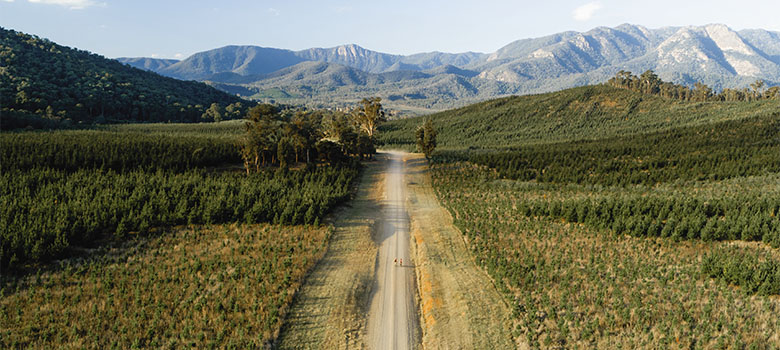 Victoria's High Country 